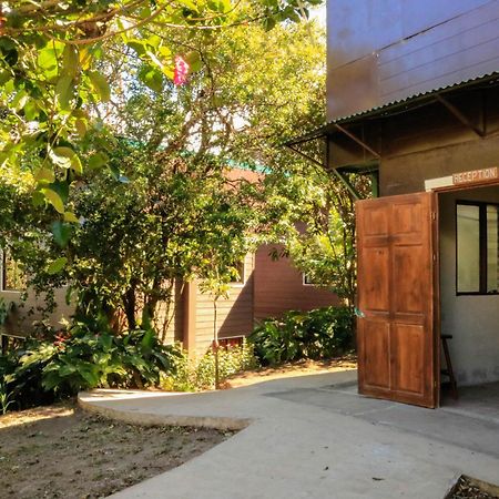 Moon Forest Apartments Monteverde Εξωτερικό φωτογραφία