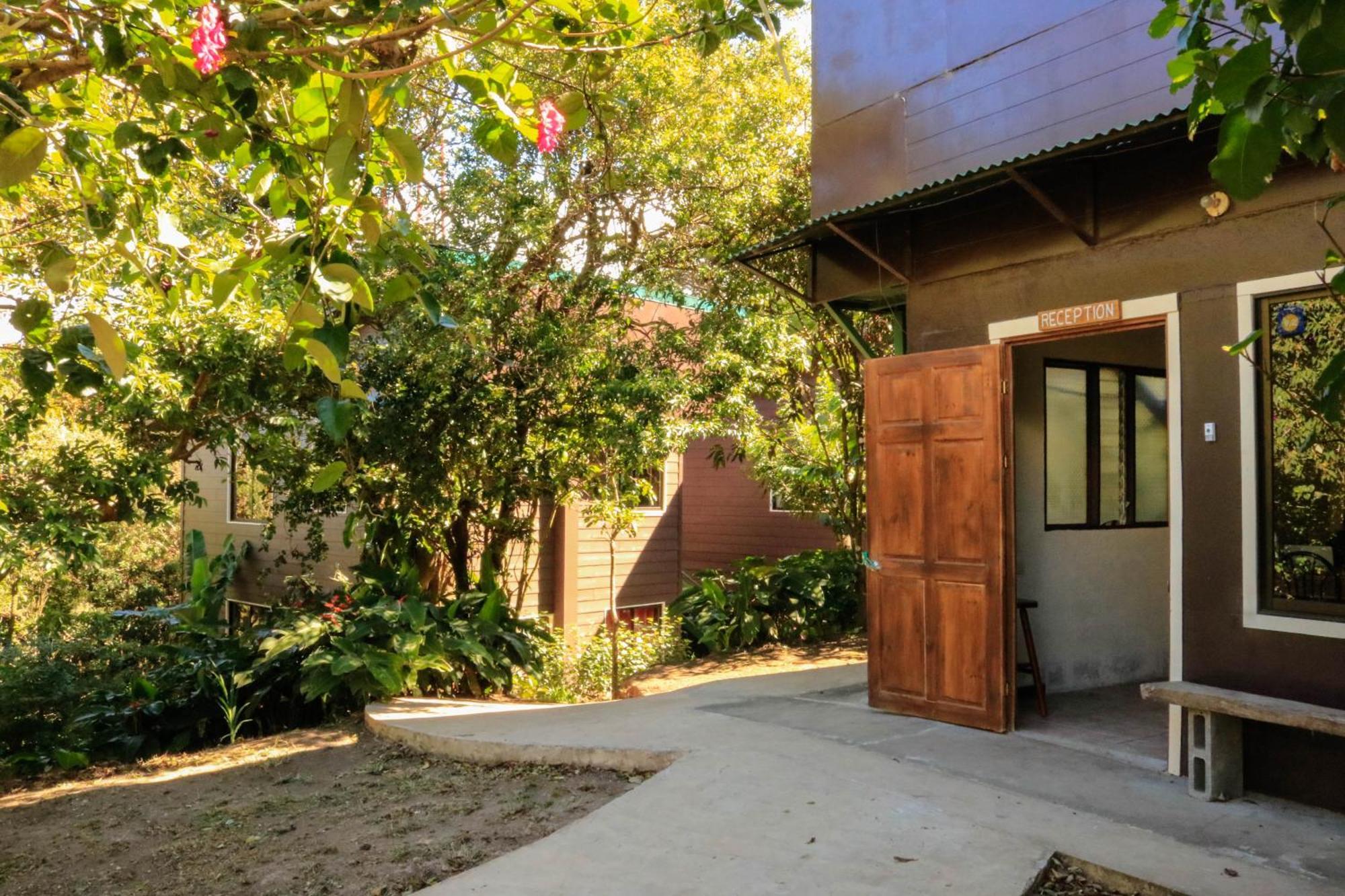 Moon Forest Apartments Monteverde Εξωτερικό φωτογραφία