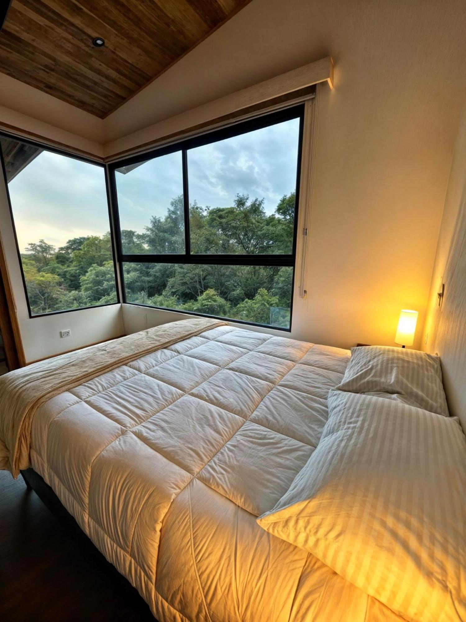 Moon Forest Apartments Monteverde Εξωτερικό φωτογραφία