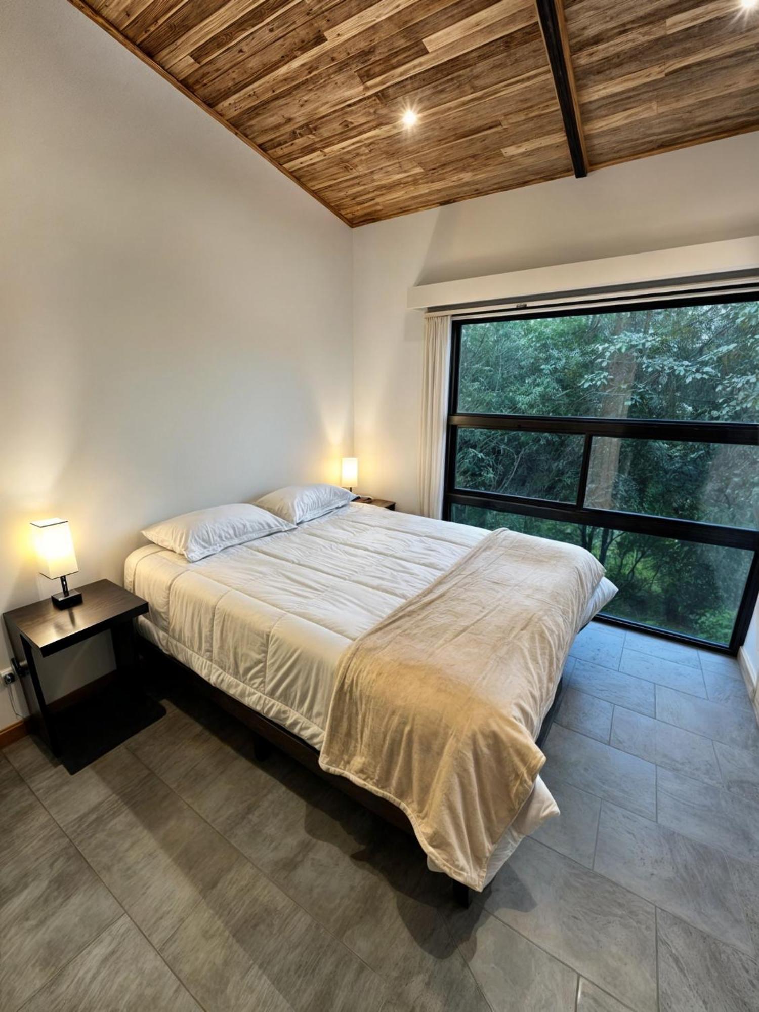 Moon Forest Apartments Monteverde Εξωτερικό φωτογραφία