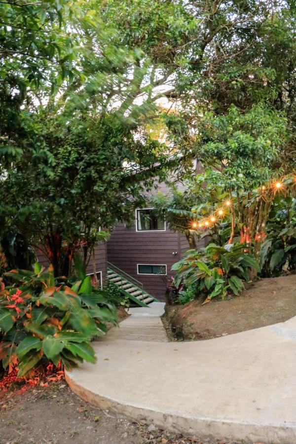 Moon Forest Apartments Monteverde Εξωτερικό φωτογραφία