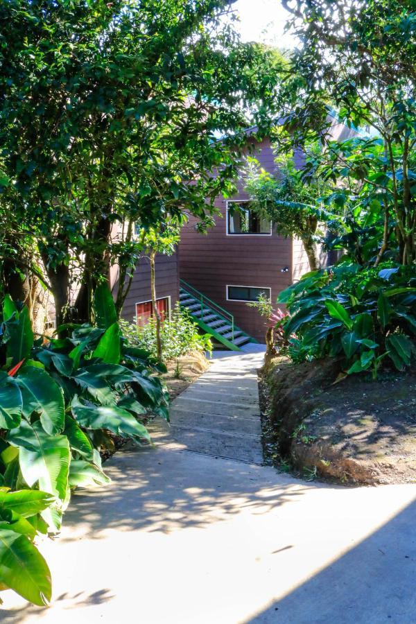 Moon Forest Apartments Monteverde Εξωτερικό φωτογραφία