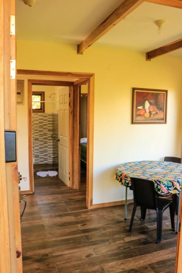 Moon Forest Apartments Monteverde Εξωτερικό φωτογραφία