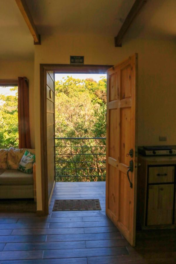 Moon Forest Apartments Monteverde Εξωτερικό φωτογραφία