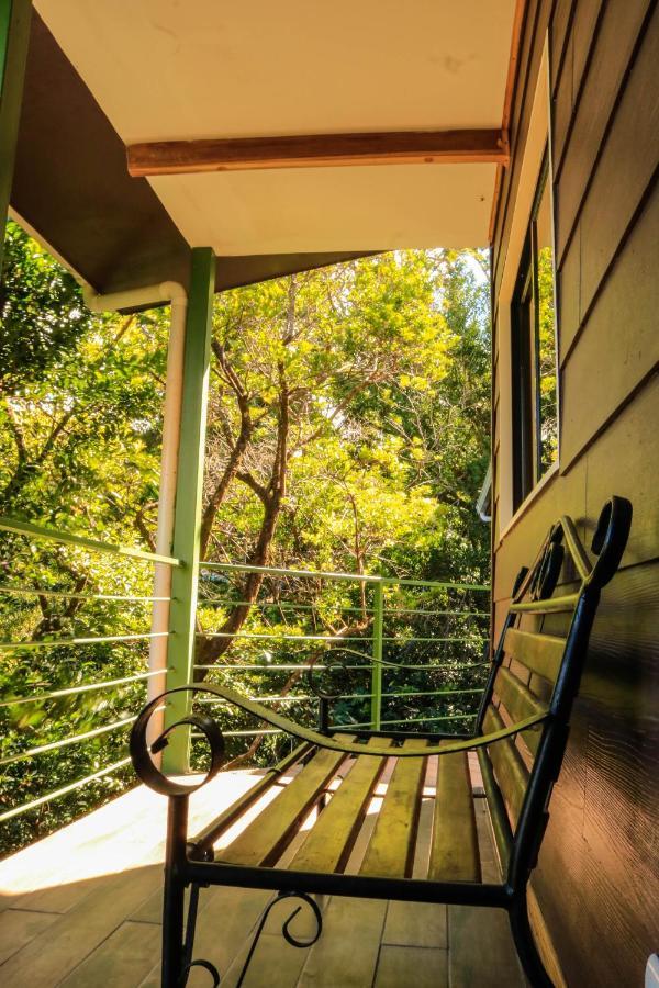 Moon Forest Apartments Monteverde Εξωτερικό φωτογραφία
