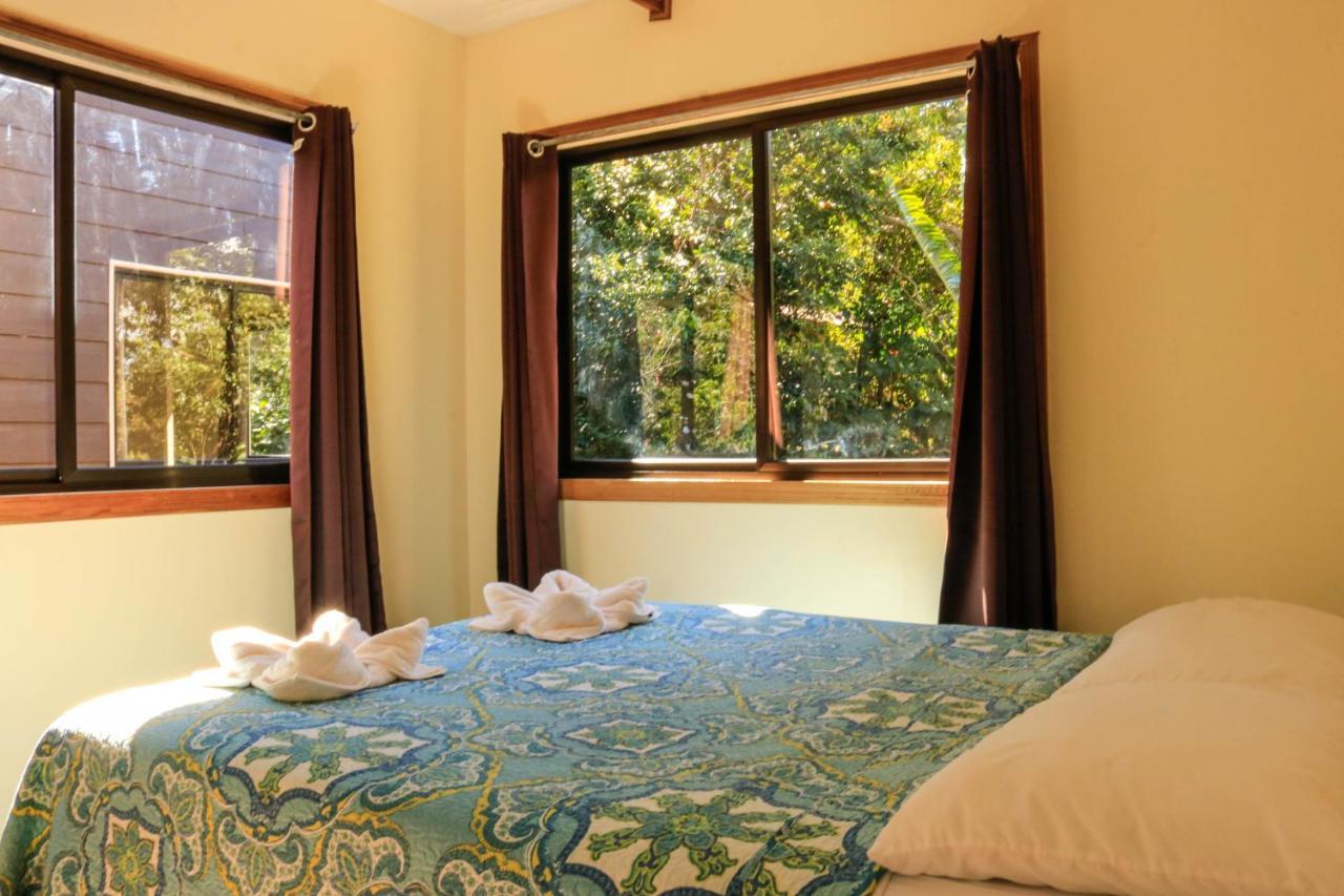 Moon Forest Apartments Monteverde Εξωτερικό φωτογραφία