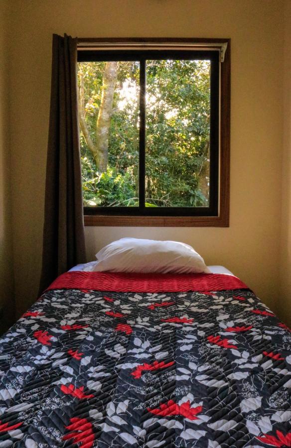 Moon Forest Apartments Monteverde Εξωτερικό φωτογραφία